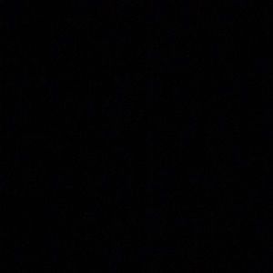 Meet your Posher, Cheyenne